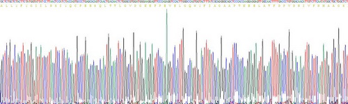 载脂蛋白M(APOM)重组蛋白