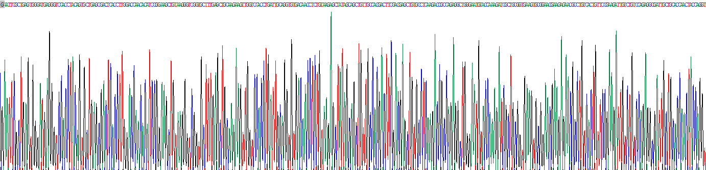 外核苷酸焦磷酸酶/磷酸二酯酶2(ENPP2)重组蛋白