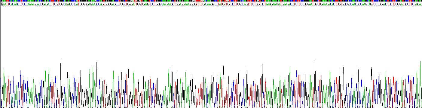 屏障自整合因子1(BANF1)重组蛋白