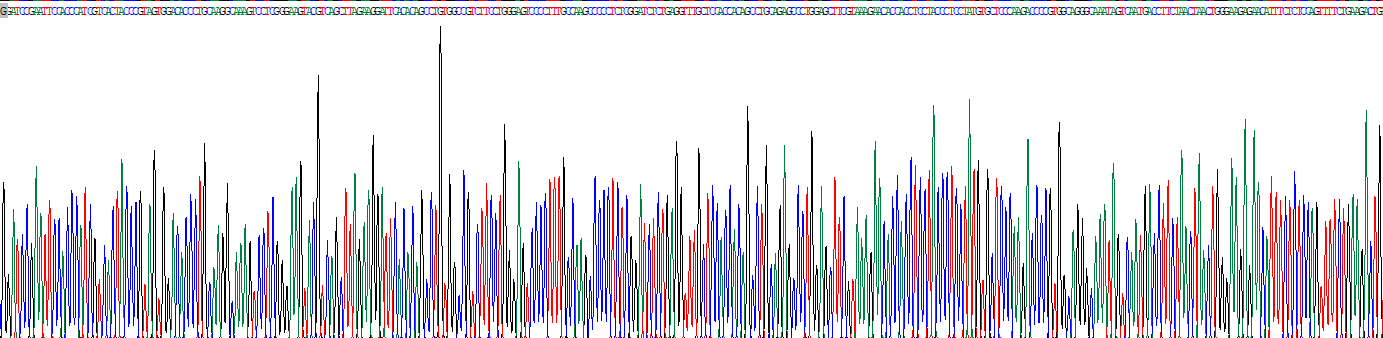羧酸酯酶1(CES1)重组蛋白