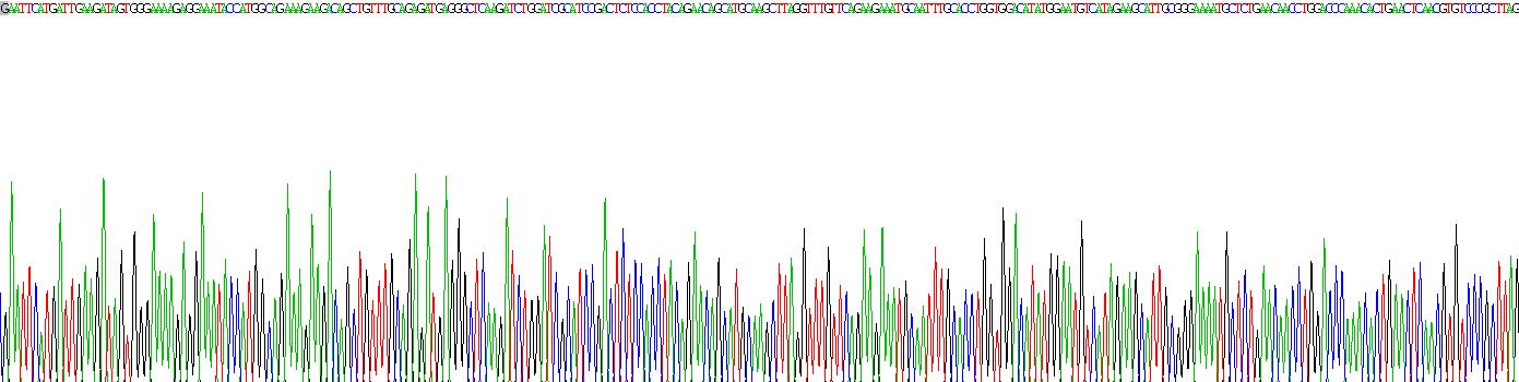 异连蛋白α(DTNa)重组蛋白