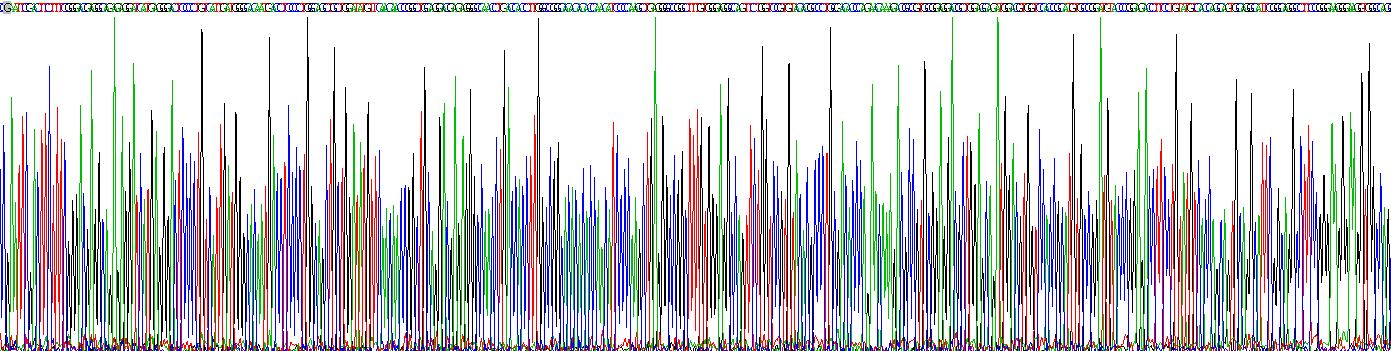 二肽酶1(DPEP1)重组蛋白