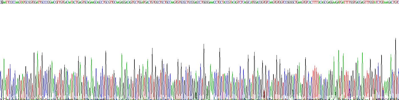 内皮细胞特异分子1(ESM1)重组蛋白