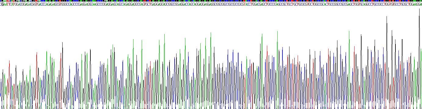 F-框蛋白2(FBXO2)重组蛋白