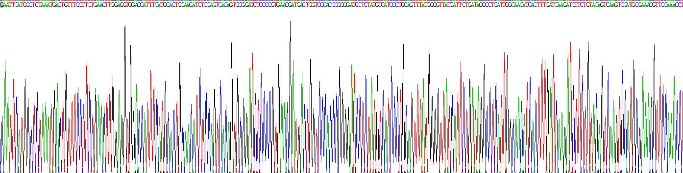 胃泌素释放肽受体(GRPR)重组蛋白