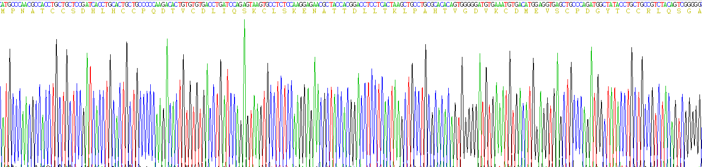 颗粒体蛋白(GRN)重组蛋白