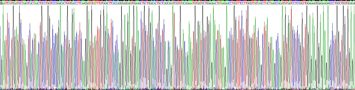 锌指蛋白10(ZNF10)重组蛋白