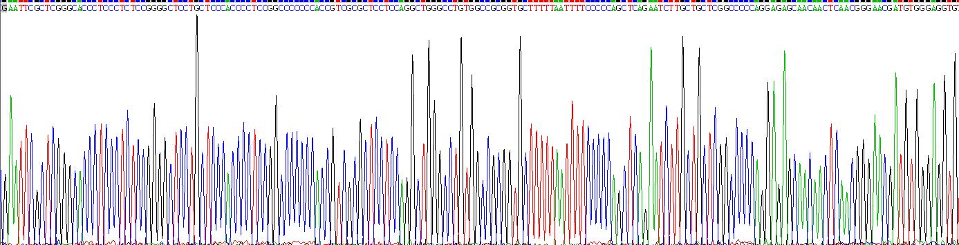 平足蛋白(PDPN)重組蛋白