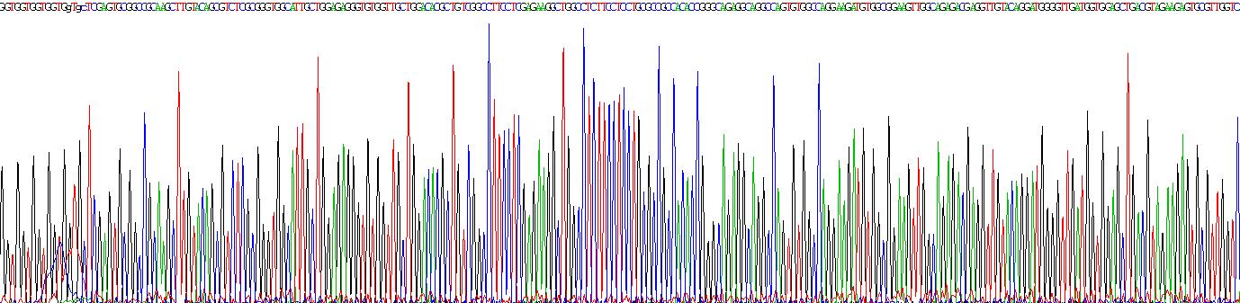 高亲和力神经降压素受体1(NTSR1)重组蛋白