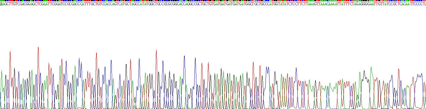 成纤维细胞生长因子18(FGF18)重组蛋白