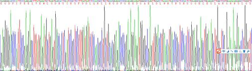 血小板衍生生长因子B(PDGFB)重组蛋白