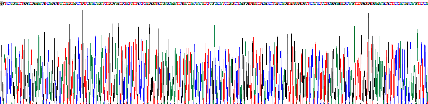组织蛋白酶C(CTSC)重组蛋白