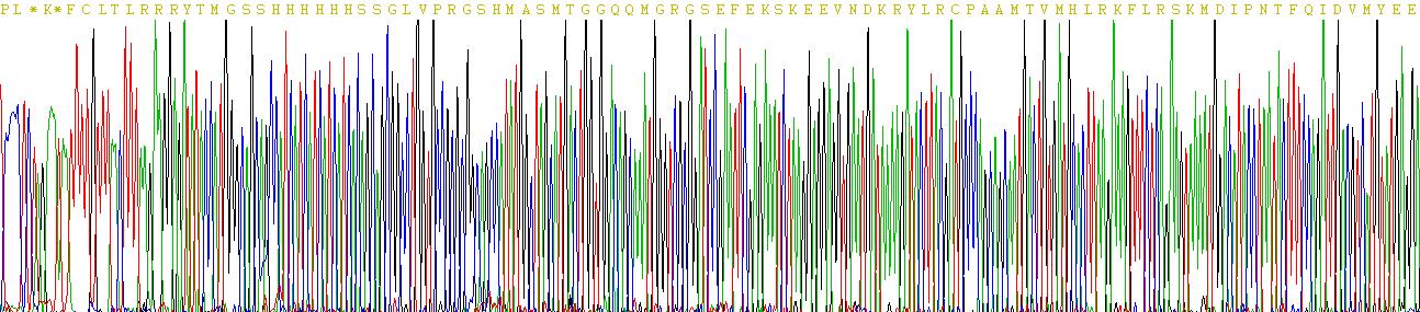 癌胚抗原相关细胞粘附分子1(CEACAM1)重组蛋白