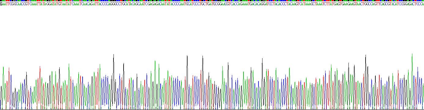 癌胚抗原相关细胞粘附分子8(CEACAM8)重组蛋白