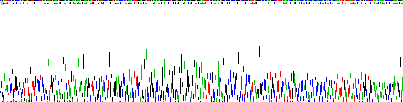爱帕琳肽(APLN)重组蛋白
