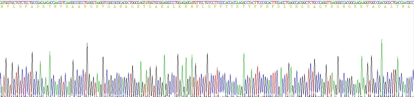 血红蛋白α1(HBa1)重组蛋白