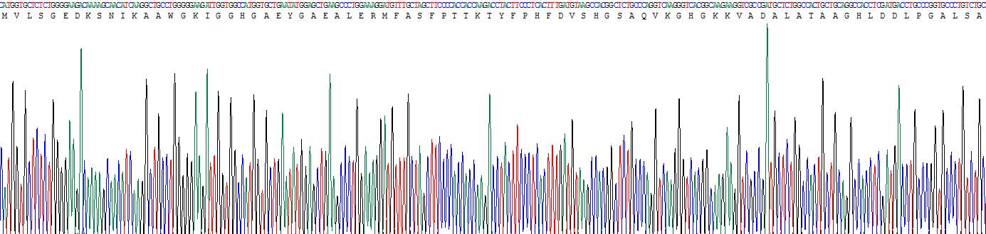 血红蛋白α1(HBa1)重组蛋白