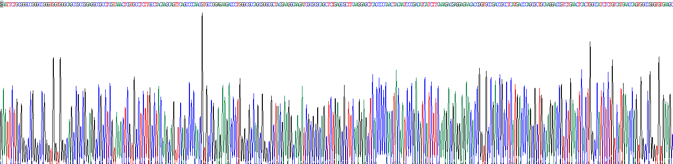 印度刺猬因子(IHH)重组蛋白