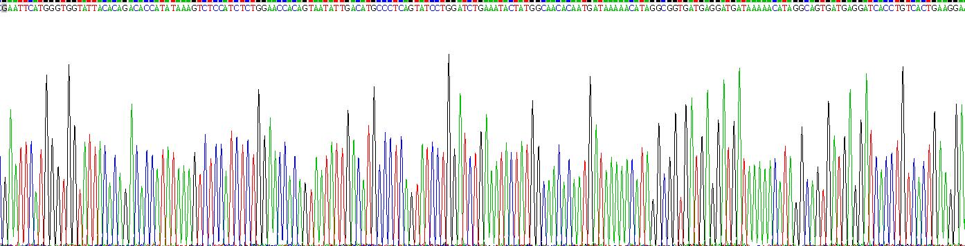 T-细胞表面糖蛋白CD3ε(CD3e)重组蛋白