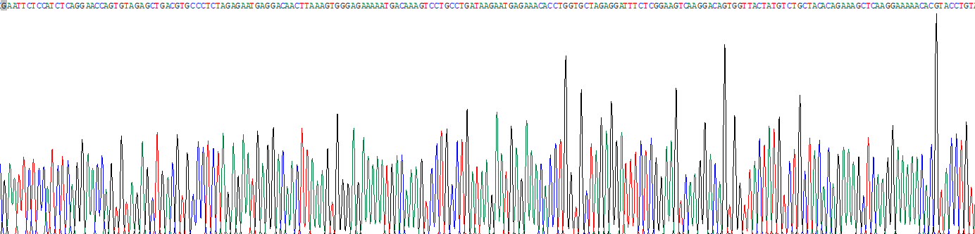 T-细胞表面糖蛋白CD3ε(CD3e)重组蛋白