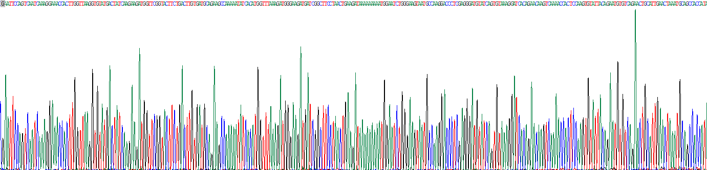 T-细胞表面糖蛋白CD3γ(CD3g)重组蛋白