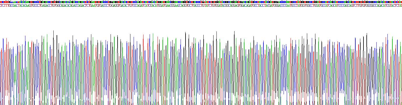 煙堿型膽堿受體α10(CHRNa10)重組蛋白