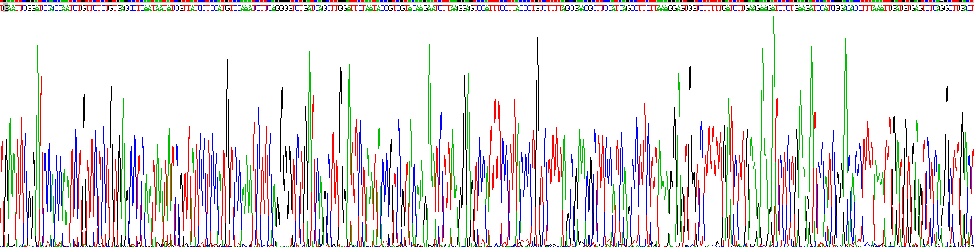 核糖核酸酶A2(RNASE2)重組蛋白