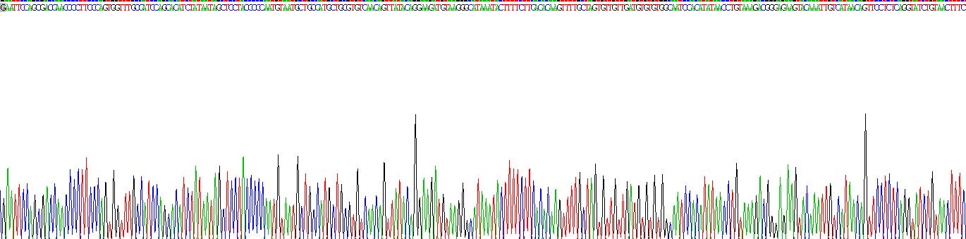 核糖核酸酶A2(RNASE2)重组蛋白