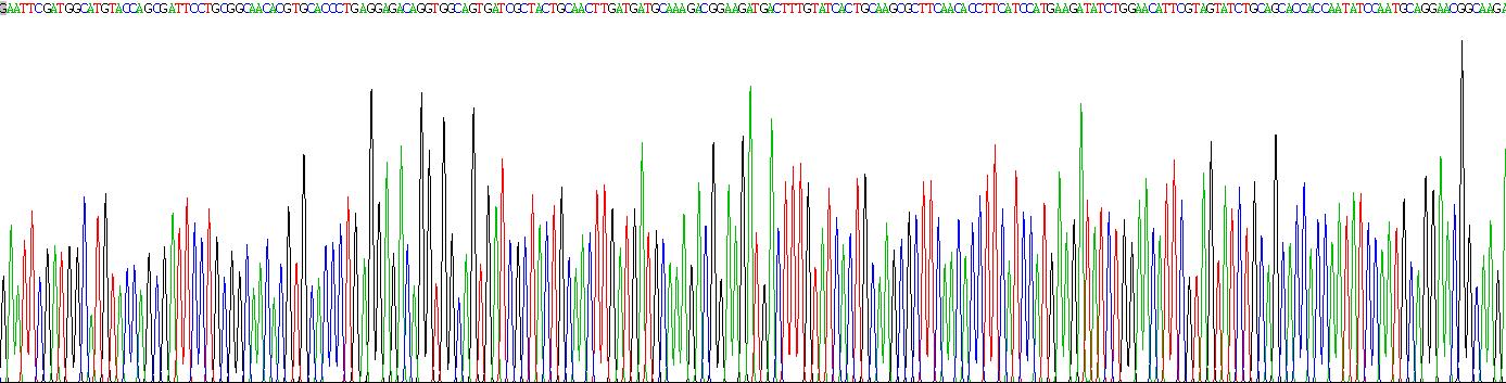 核糖核酸酶A4(RNASE4)重组蛋白