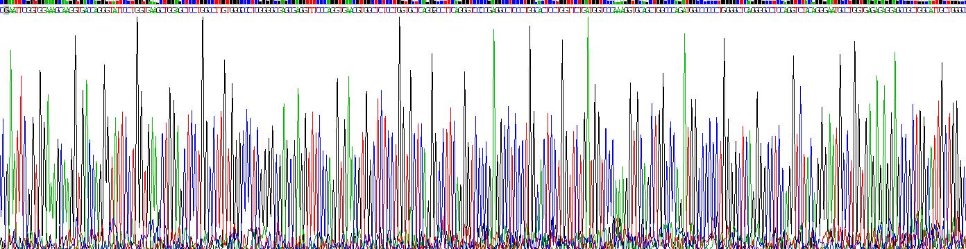 Ⅱ型胶原α1(COL2a1)重组蛋白