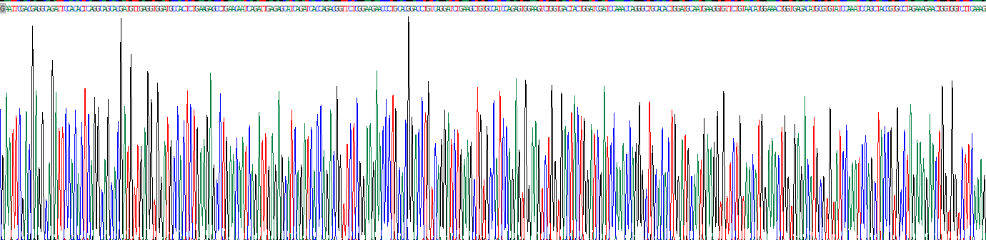 Ⅱ型胶原α1(COL2a1)重组蛋白