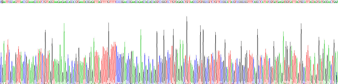 死骨片1(SQSTM1)重组蛋白