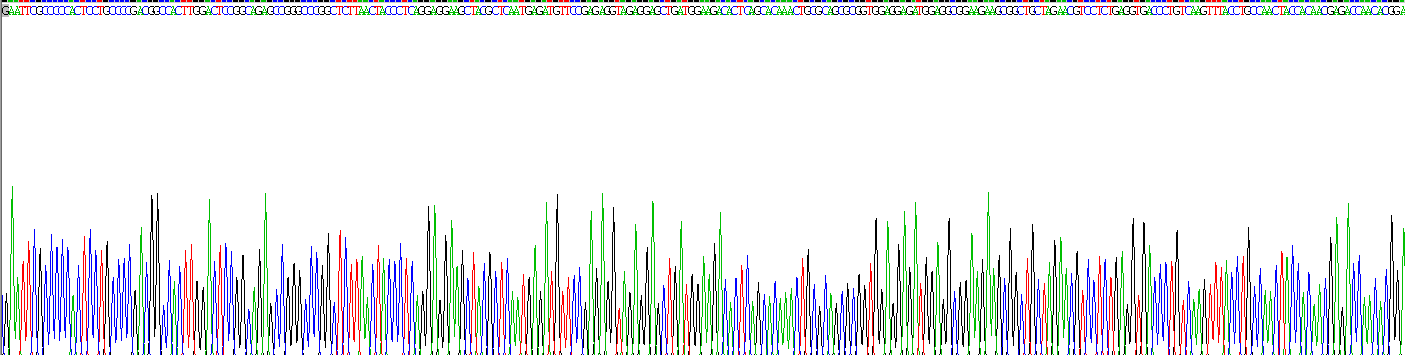 Dickkopf相关蛋白3(DKK3)重组蛋白