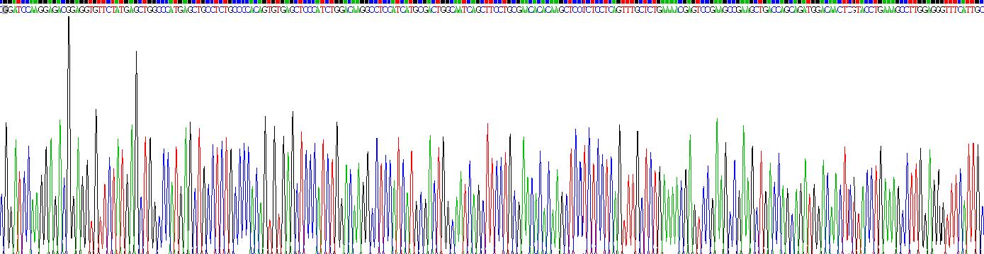 低氧誘導因子2α(HIF2a)重組蛋白