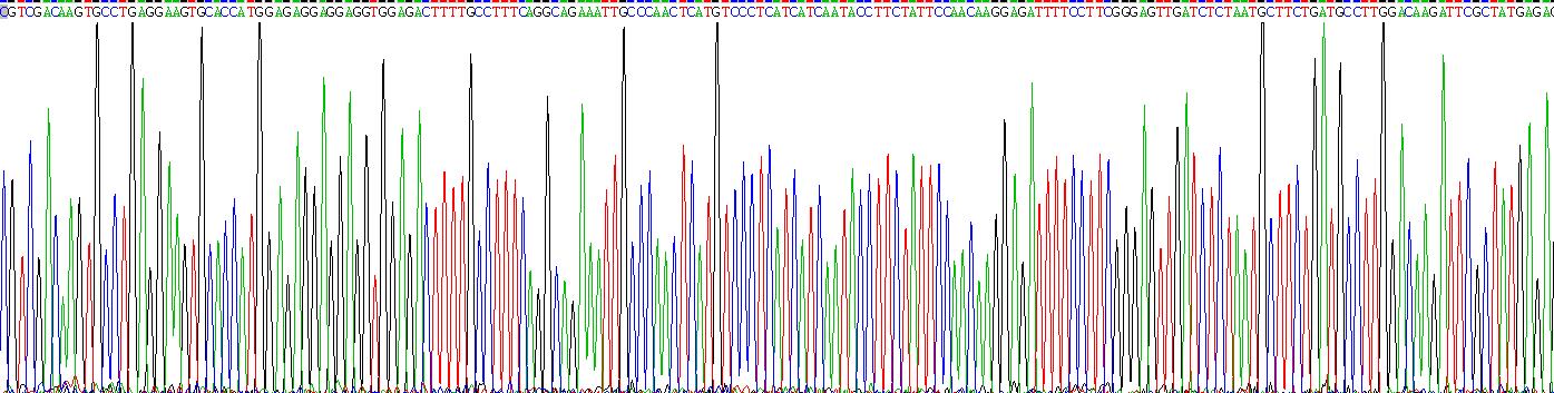 90kDa热休克蛋白αB1(HSP90aB1)重组蛋白