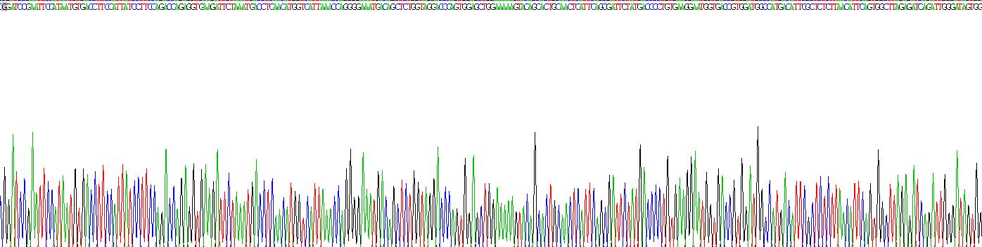 ATP结合盒转运蛋白B11(ABCB11)重组蛋白