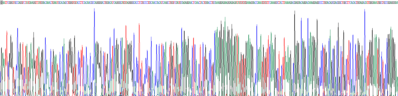 ?；o酶A合成酶長鏈家族成員6(ACSL6)重組蛋白