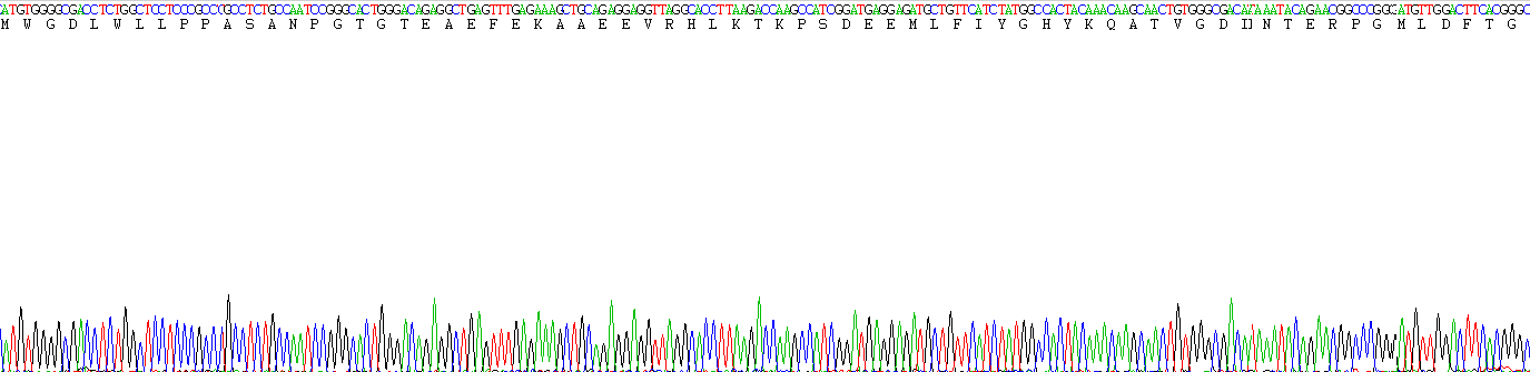 安定结合抑制因子(DBI)重组蛋白