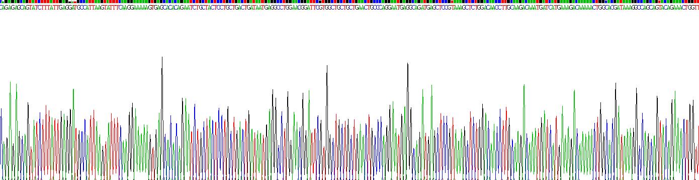 載脂蛋白L1(APOL1)重組蛋白