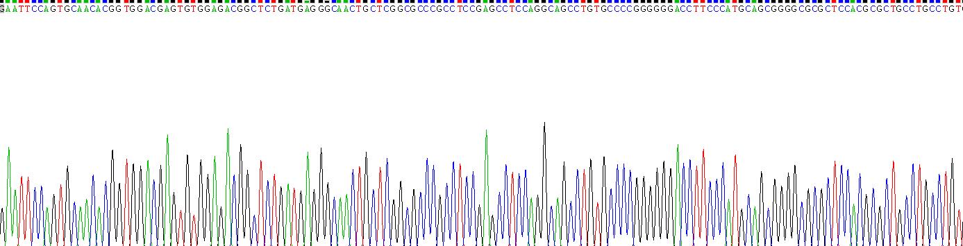 低密度脂蛋白受体相关蛋白3(LRP3)重组蛋白