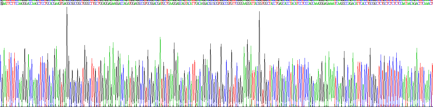 二肽基肽酶6(DPP6)重组蛋白