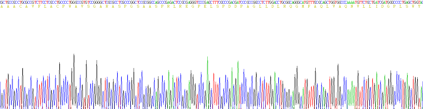腫瘤壞死因子配體超家族成員9(TNFSF9)重組蛋白