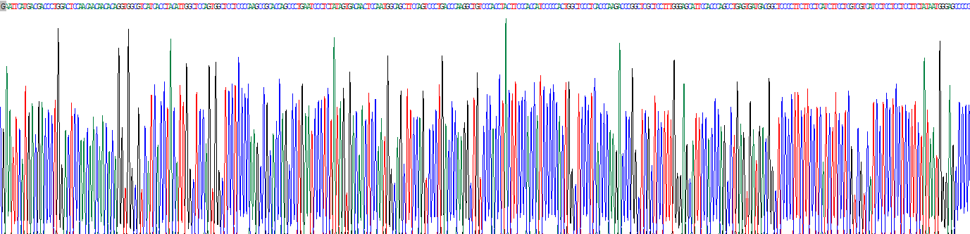 核受體亞家族1D組成員1(NR1D1)重組蛋白