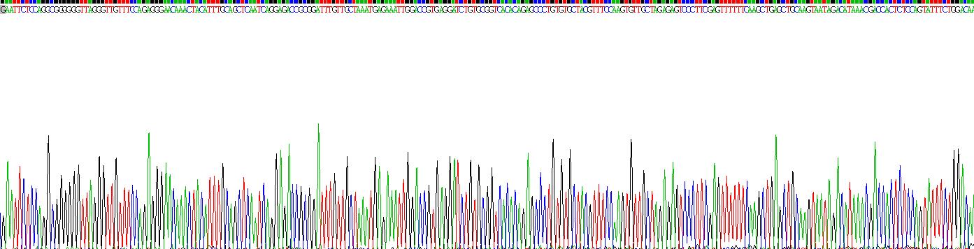 原钙黏素β8(PCDHb8)重组蛋白