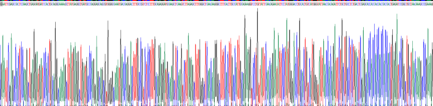 防御素α6(DEFa6)重组蛋白