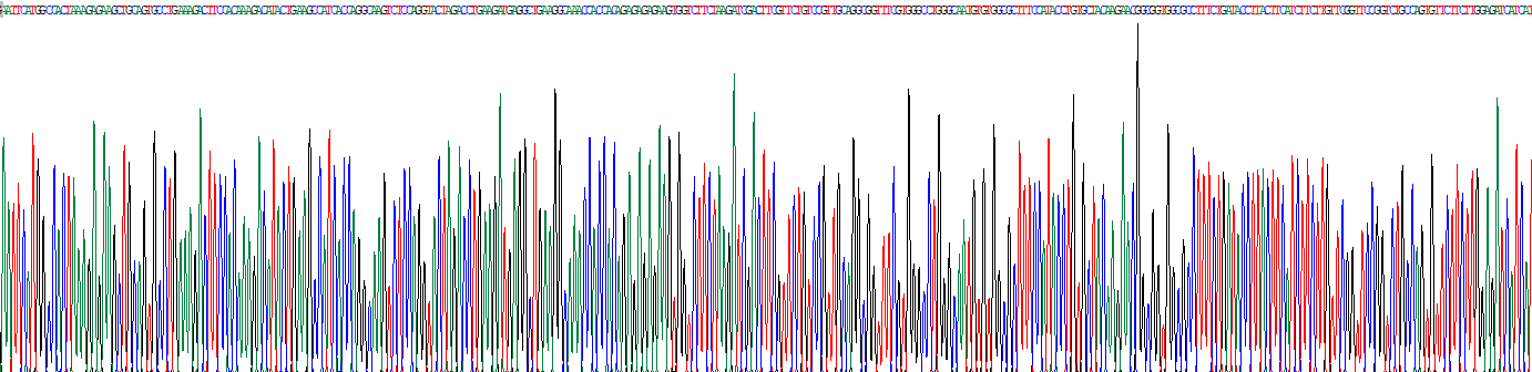 牛磺酸转运蛋白(TAUT)重组蛋白