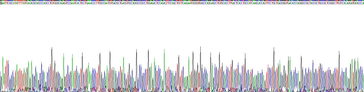 α1-B-糖蛋白(a1BG)重组蛋白