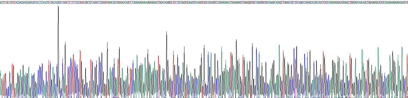 細(xì)胞分裂周期因子37(CDC37)重組蛋白
