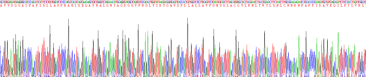 亲核素α2(KPNa2)重组蛋白