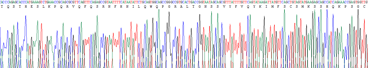 白介素22受体α2(IL22Ra2)重组蛋白